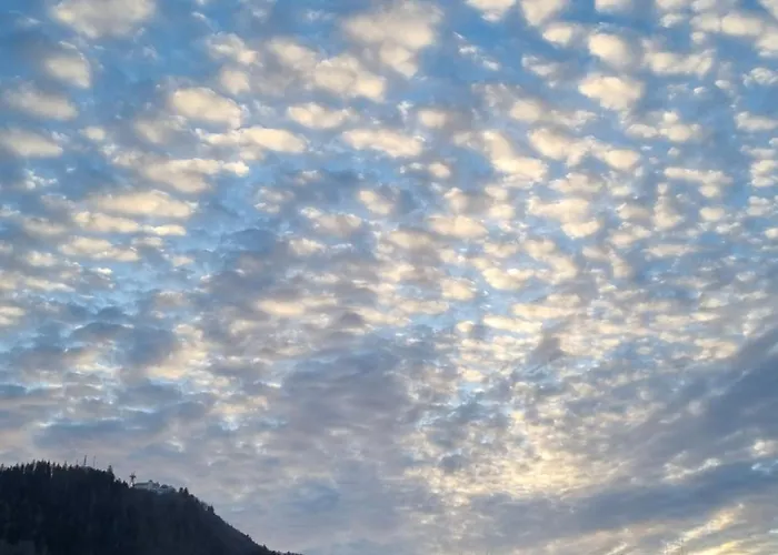 Les Flocons Enchantes, Neuf, Belle Vue,4 Personnes Apartmán La Bourboule